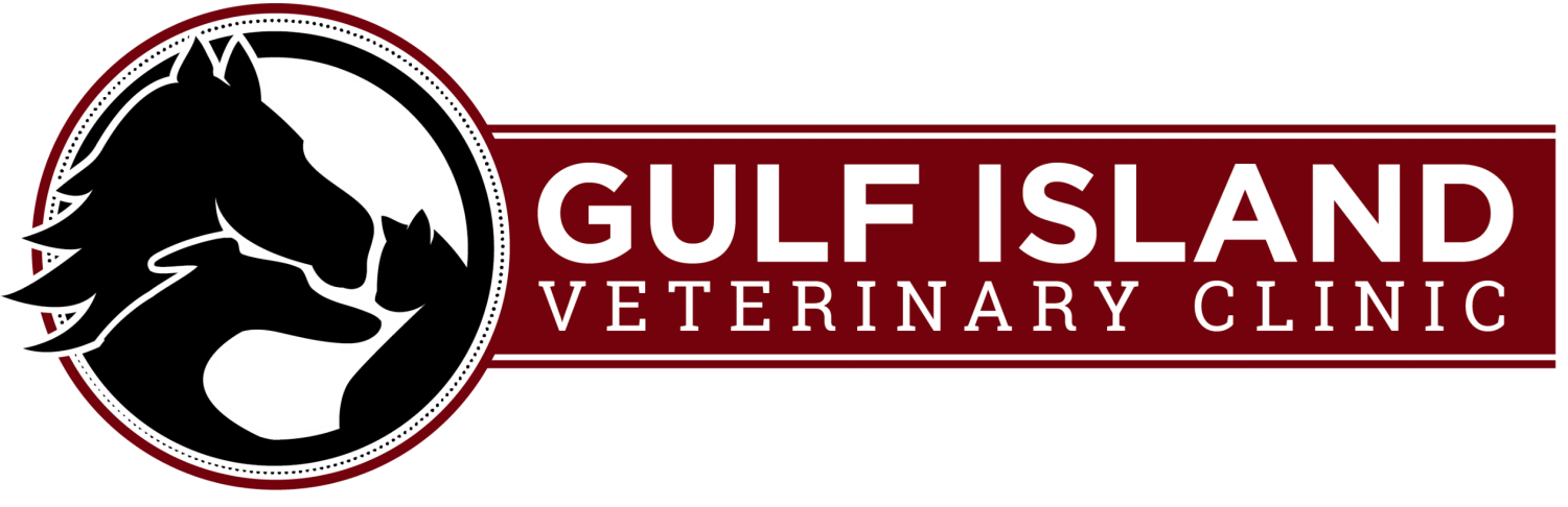 Gulf Island Veterinary Clinic